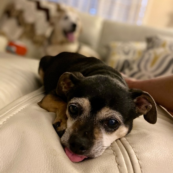 🙋‍♀️ WELCOME! 🛍️ Please save my closet. - Picture 3 of 6